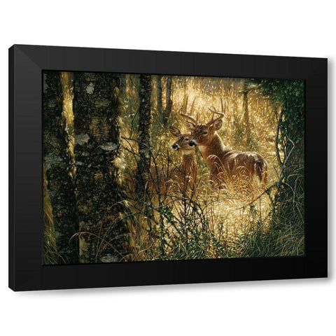 Whitetail Deer - A Golden Moment - Horizontal Black Modern Wood Framed Art Print by Bogle, Collin