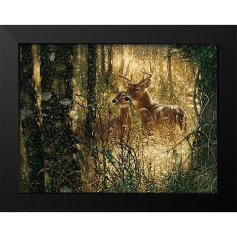 Whitetail Deer - A Golden Moment - Horizontal Black Modern Wood Framed Art Print by Bogle, Collin