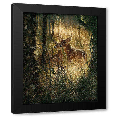 Whitetail Deer - A Golden Moment Black Modern Wood Framed Art Print by Bogle, Collin
