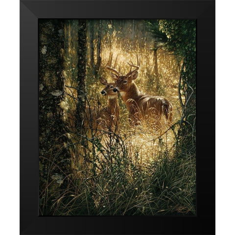 Whitetail Deer - A Golden Moment Black Modern Wood Framed Art Print by Bogle, Collin