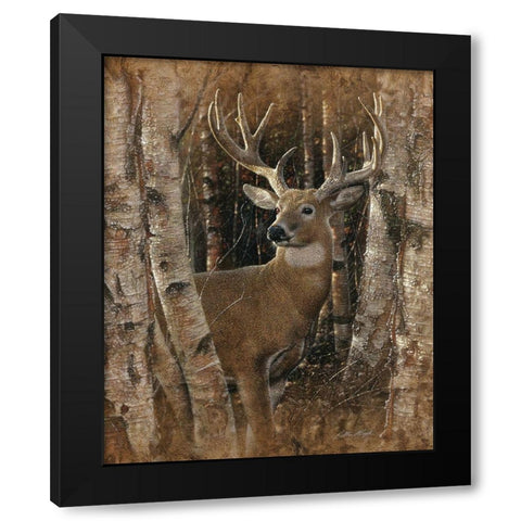 Whitetail Deer - Birchwood Buck Black Modern Wood Framed Art Print with Double Matting by Bogle, Collin