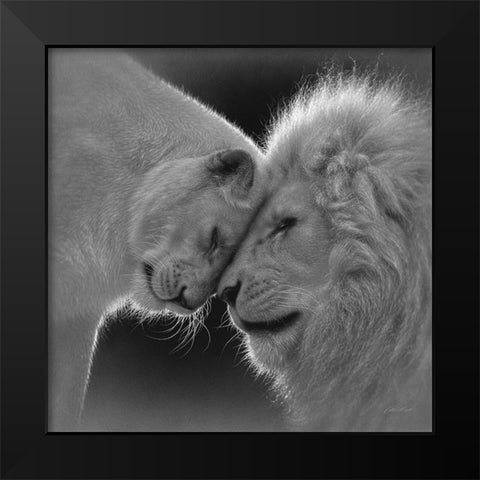 White Lion Love - BandW Black Modern Wood Framed Art Print by Bogle, Collin