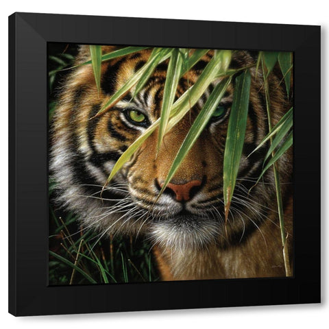 Tiger - Emerald Forest Black Modern Wood Framed Art Print by Bogle, Collin