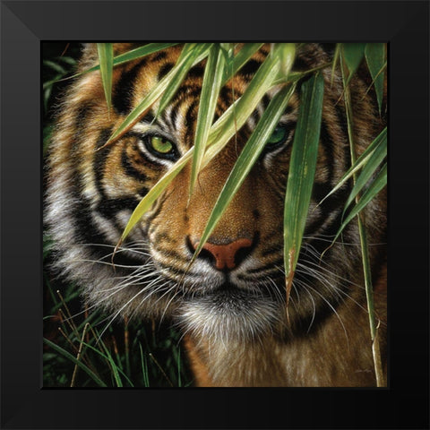 Tiger - Emerald Forest Black Modern Wood Framed Art Print by Bogle, Collin