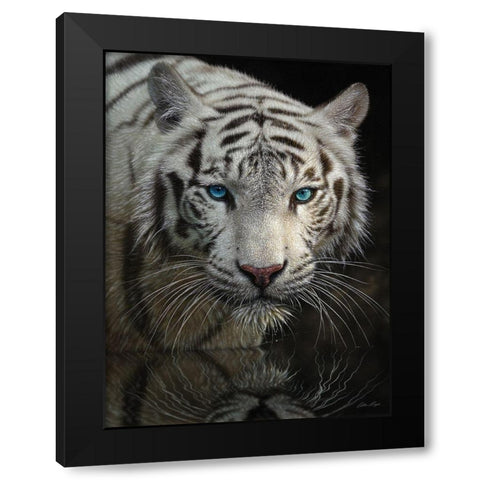 White Tiger - Into the Light Black Modern Wood Framed Art Print by Bogle, Collin