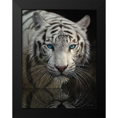 White Tiger - Into the Light Black Modern Wood Framed Art Print by Bogle, Collin