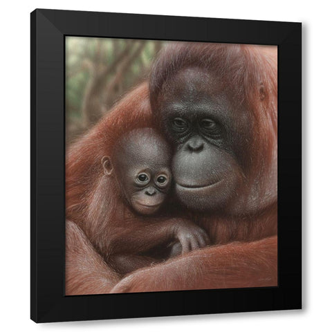 Orangutan Mother and Baby Black Modern Wood Framed Art Print by Bogle, Collin