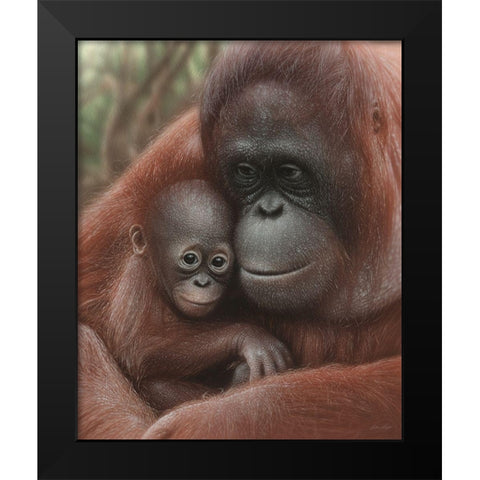 Orangutan Mother and Baby Black Modern Wood Framed Art Print by Bogle, Collin