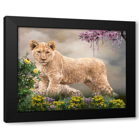 New World Black Modern Wood Framed Art Print with Double Matting by Parker, Kelley