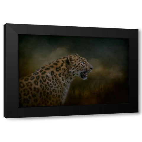 Watchful Waiting Black Modern Wood Framed Art Print with Double Matting by Parker, Kelley