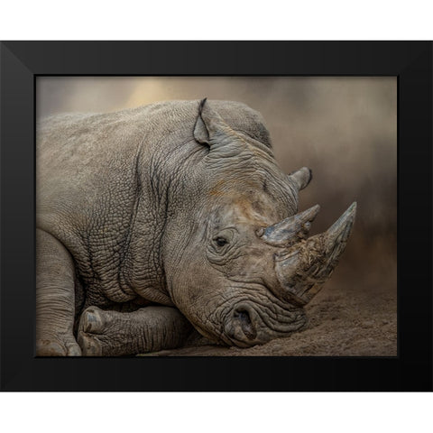 Resting Giant Black Modern Wood Framed Art Print by Parker, Kelley