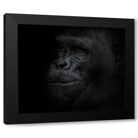 Great Ape Black Modern Wood Framed Art Print with Double Matting by Parker, Kelley