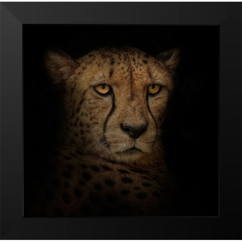 Out of the Shadows Black Modern Wood Framed Art Print by Parker, Kelley