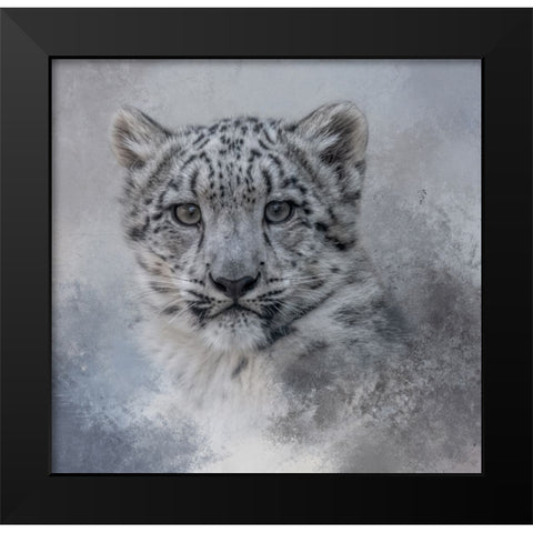 Snow Baby Black Modern Wood Framed Art Print by Parker, Kelley