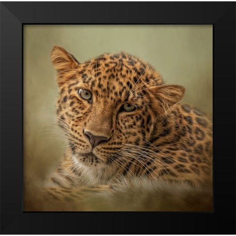 Green Eyes Black Modern Wood Framed Art Print by Parker, Kelley