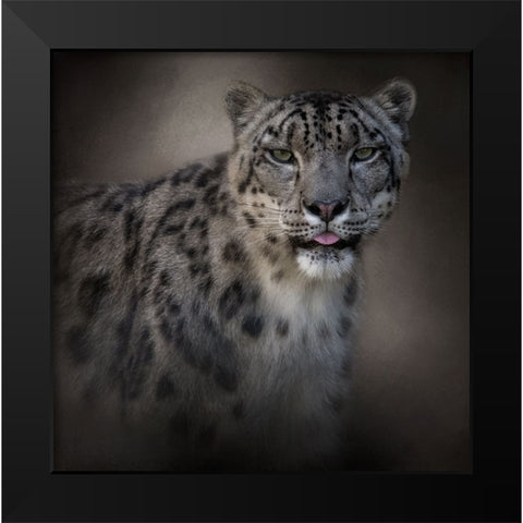 Himalayan Queen Black Modern Wood Framed Art Print by Parker, Kelley