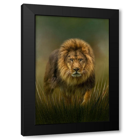 Prowling Black Modern Wood Framed Art Print with Double Matting by Parker, Kelley