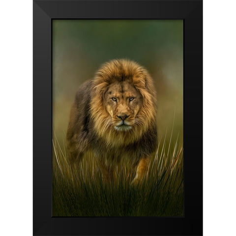 Prowling Black Modern Wood Framed Art Print by Parker, Kelley