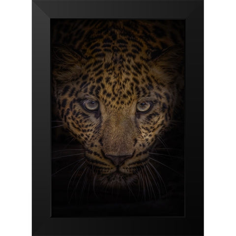 No Fear Black Modern Wood Framed Art Print by Parker, Kelley