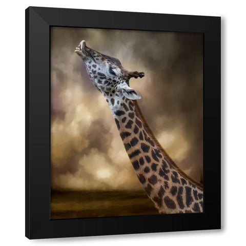 Stretch Black Modern Wood Framed Art Print with Double Matting by Parker, Kelley