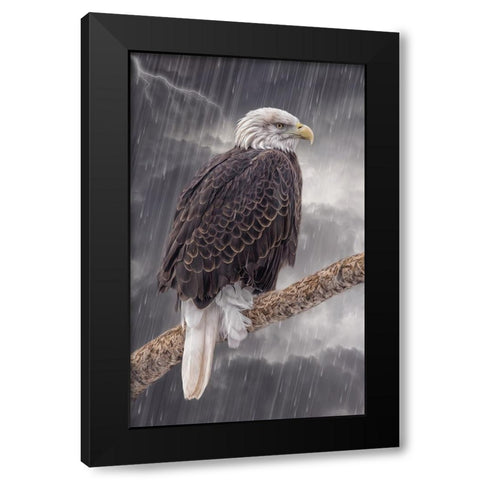 Defiance Black Modern Wood Framed Art Print with Double Matting by Parker, Kelley