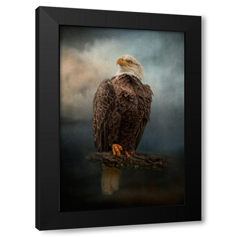 Master of the Sky Black Modern Wood Framed Art Print by Parker, Kelley