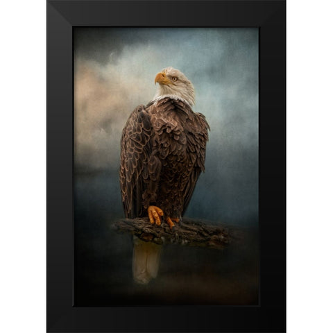 Master of the Sky Black Modern Wood Framed Art Print by Parker, Kelley