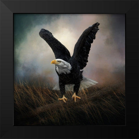 Morning Stretch Black Modern Wood Framed Art Print by Parker, Kelley