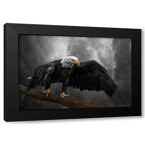 Storm Compassion Black Modern Wood Framed Art Print with Double Matting by Parker, Kelley