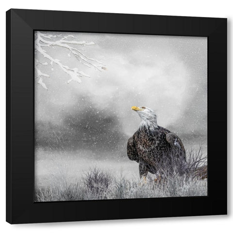 Winter Daydreaming Black Modern Wood Framed Art Print with Double Matting by Parker, Kelley