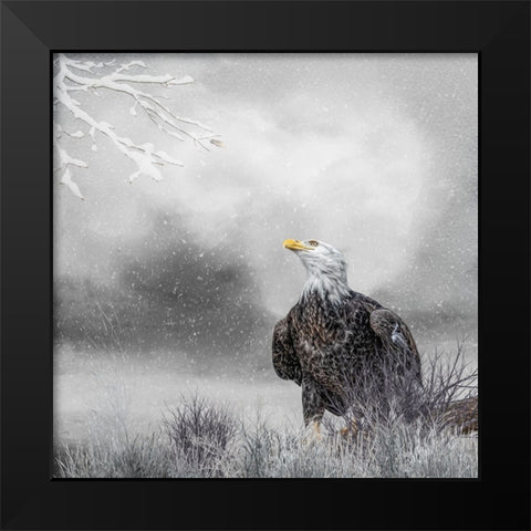 Winter Daydreaming Black Modern Wood Framed Art Print by Parker, Kelley