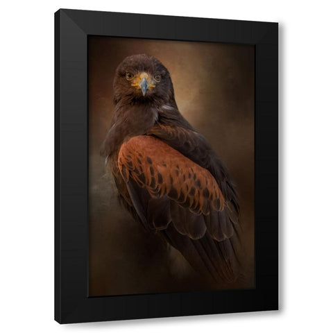 Focused Black Modern Wood Framed Art Print with Double Matting by Parker, Kelley