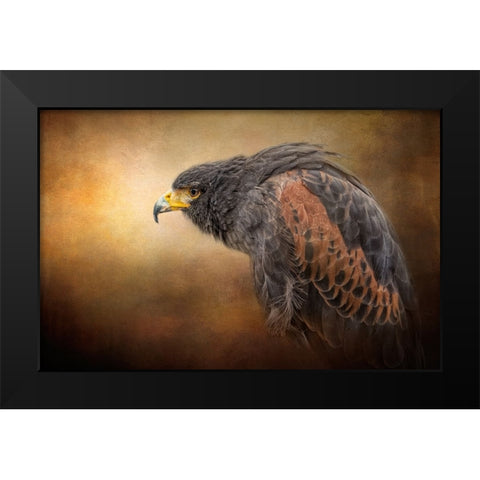 Hawkeye Black Modern Wood Framed Art Print by Parker, Kelley