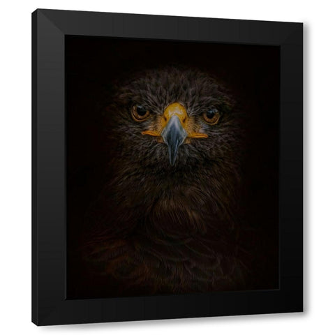 Searching for Darkness Black Modern Wood Framed Art Print with Double Matting by Parker, Kelley