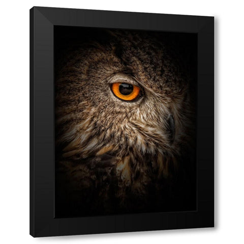 Dare Black Modern Wood Framed Art Print by Parker, Kelley