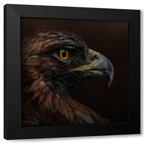 Eye-Catching Black Modern Wood Framed Art Print by Parker, Kelley