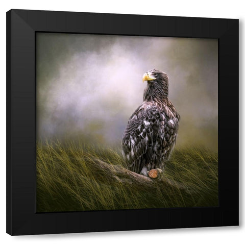 On Watch Black Modern Wood Framed Art Print by Parker, Kelley