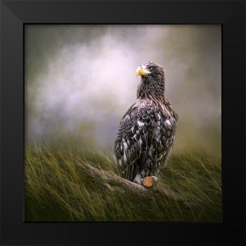 On Watch Black Modern Wood Framed Art Print by Parker, Kelley