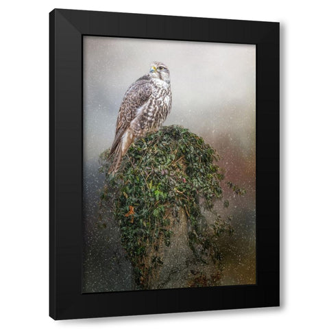 Snowfall Black Modern Wood Framed Art Print by Parker, Kelley