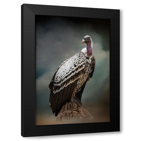 Looking for Dinner Black Modern Wood Framed Art Print by Parker, Kelley