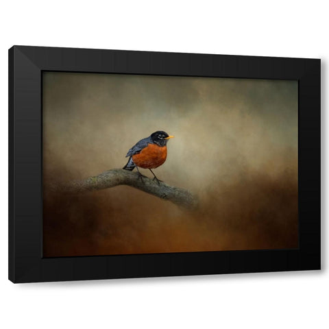 Little Charmer Black Modern Wood Framed Art Print with Double Matting by Parker, Kelley