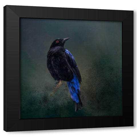 Taking the Red Eye Black Modern Wood Framed Art Print by Parker, Kelley