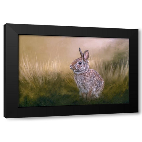 Summer Softie Black Modern Wood Framed Art Print with Double Matting by Parker, Kelley