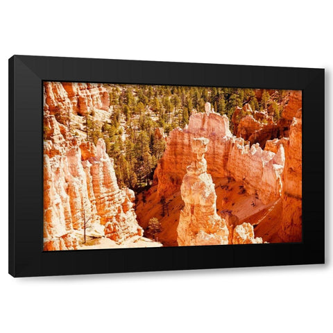 Hoo Doo Black Modern Wood Framed Art Print with Double Matting by Singleton, Ashley