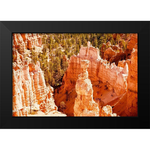 Hoo Doo Black Modern Wood Framed Art Print by Singleton, Ashley