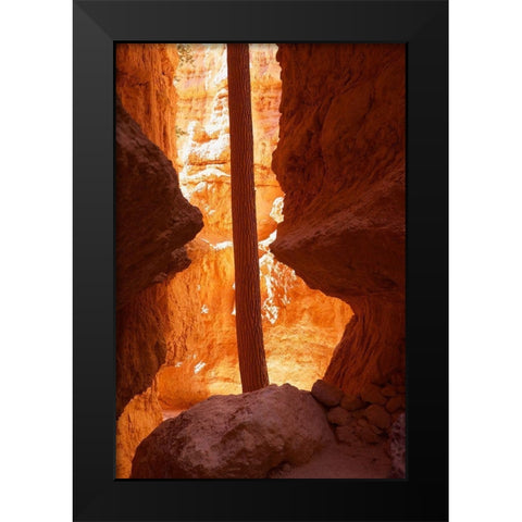 Determined Black Modern Wood Framed Art Print by Singleton, Ashley