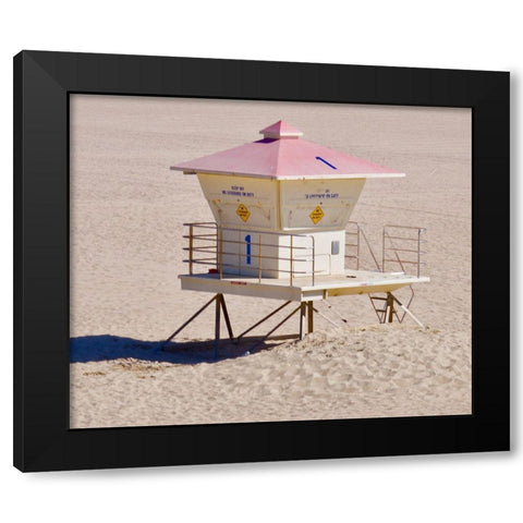 Pink Roof Black Modern Wood Framed Art Print with Double Matting by Singleton, Ashley