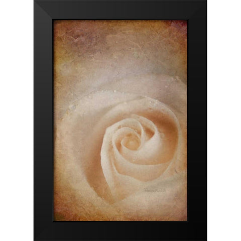 Faded Rose Black Modern Wood Framed Art Print by Murdock, Ramona