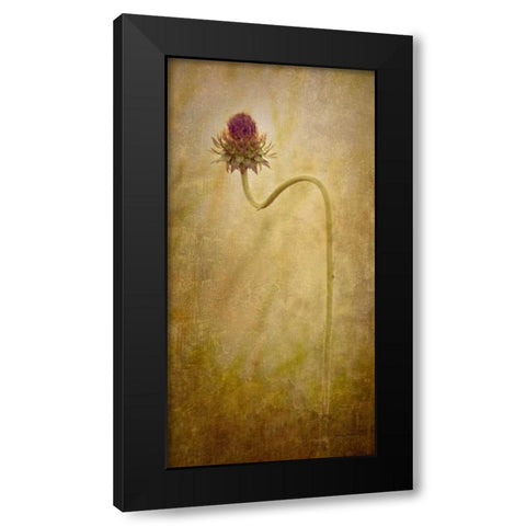Thistle Black Modern Wood Framed Art Print by Murdock, Ramona