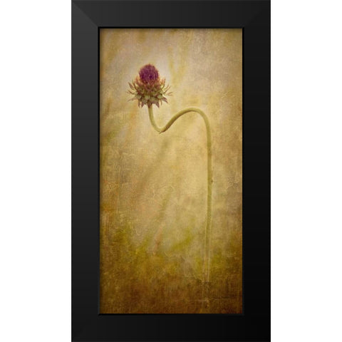 Thistle Black Modern Wood Framed Art Print by Murdock, Ramona